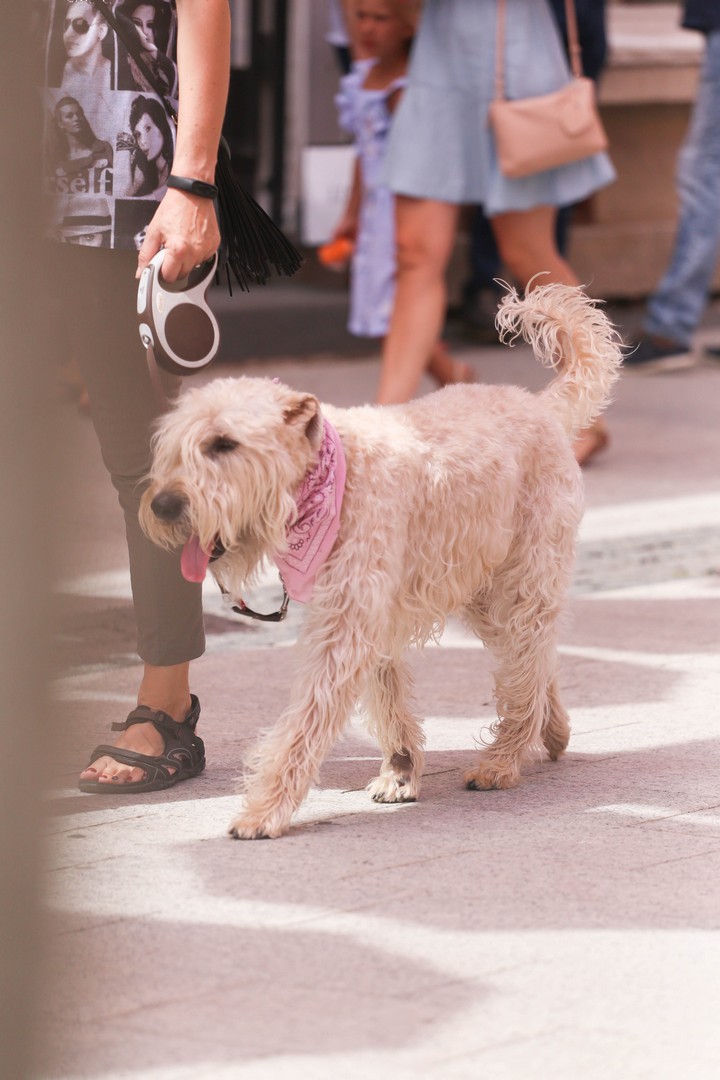 Klikom po Čakovcu (Subota, 27.7.2019.)