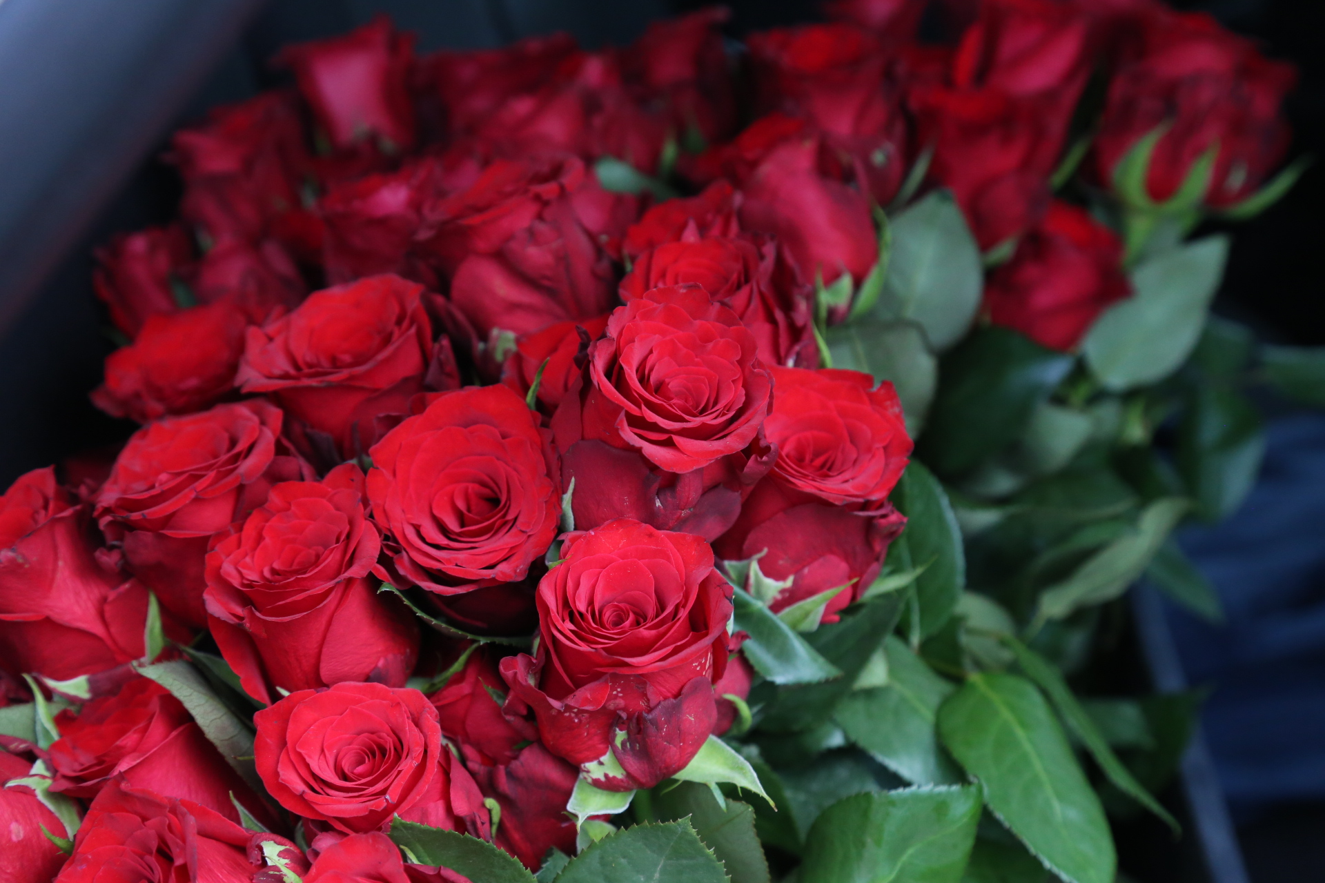 Međimurska policija cvijećem nagrađuje žene u prometu