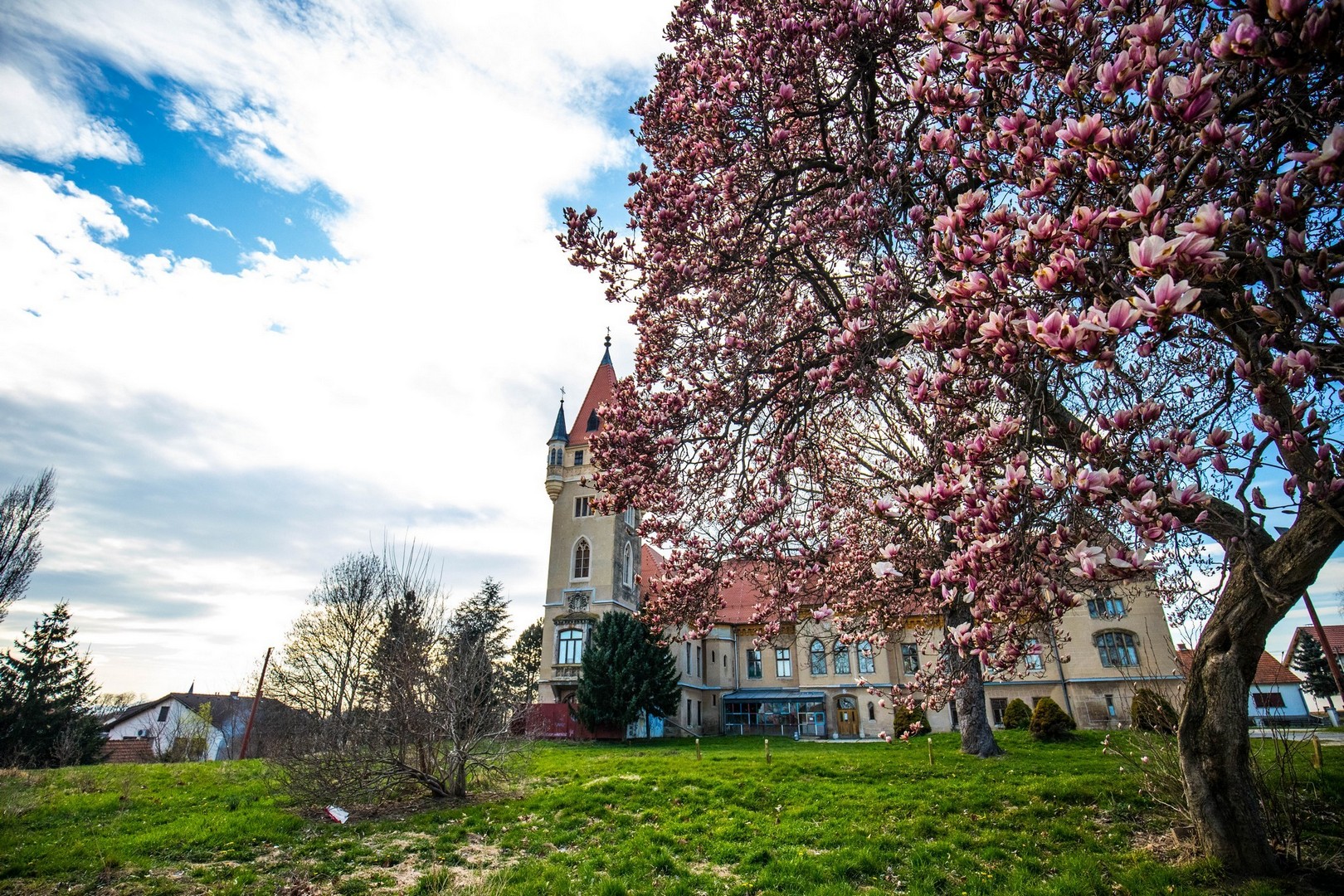 Proljetna cvjetna rapsodija u Međimurju iz objektiva Miroslave Novak Hranjec