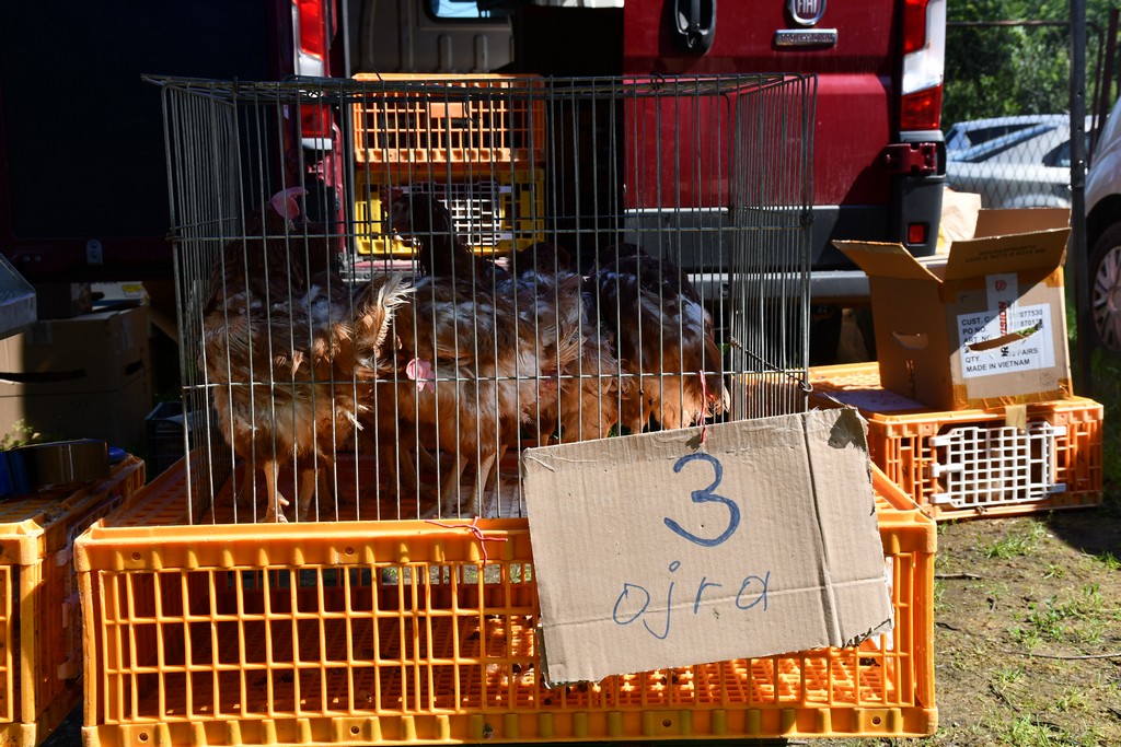 SUNČANO PRIJEPODNE Čakovečki sajam bio je pun nasmijanih lica