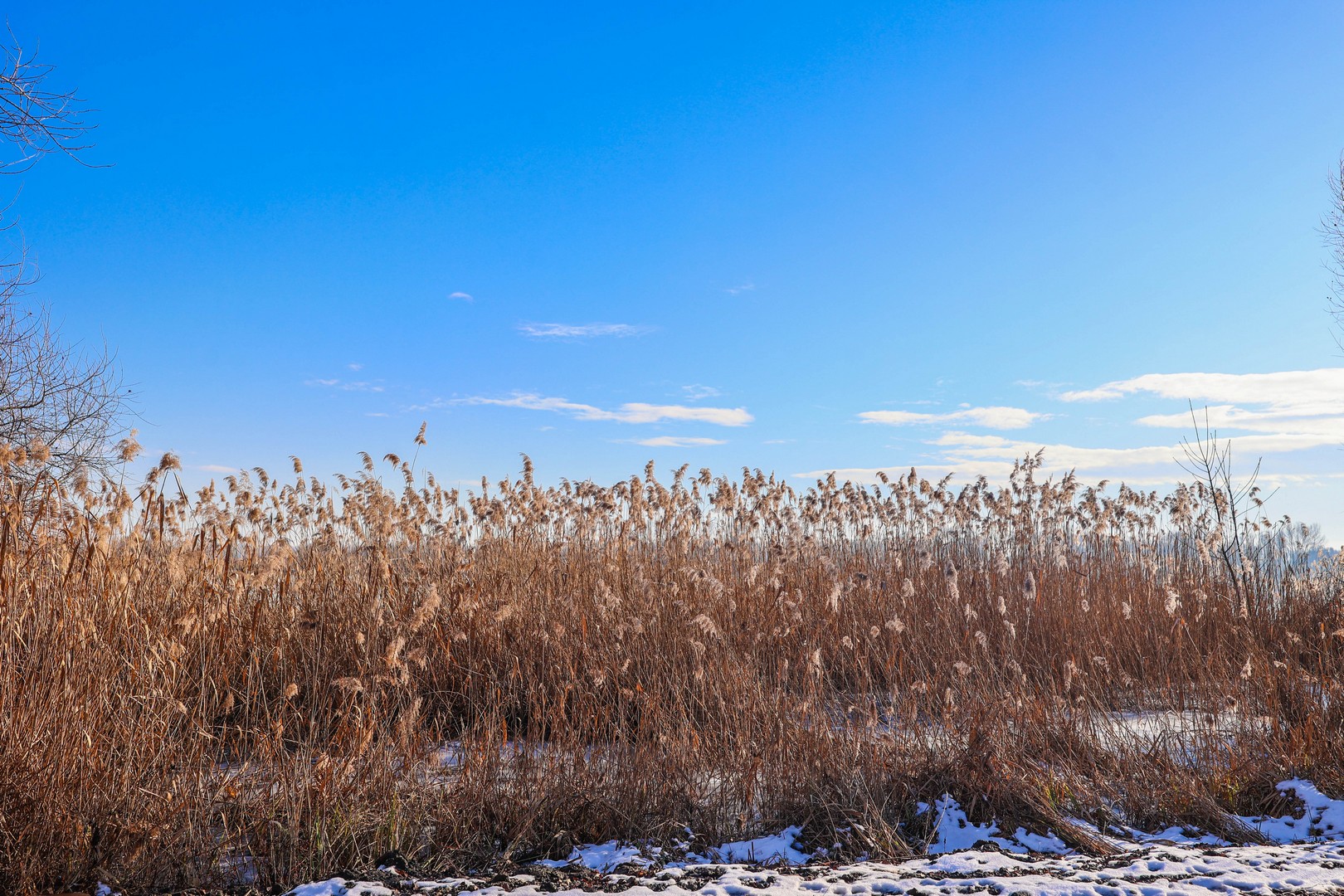 ZIMA NA MARINI Fotografije Miroslave Hranjec će vas oduševiti
