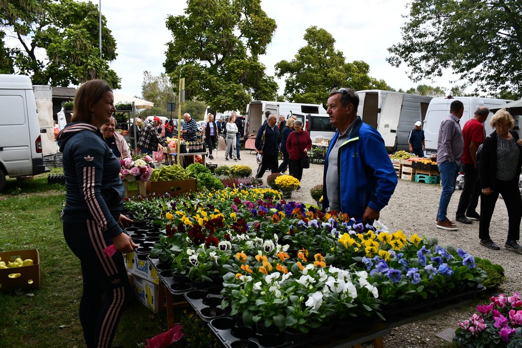 FOTO Kesteni i zelje pravi su hit na čakovečkom sajmu