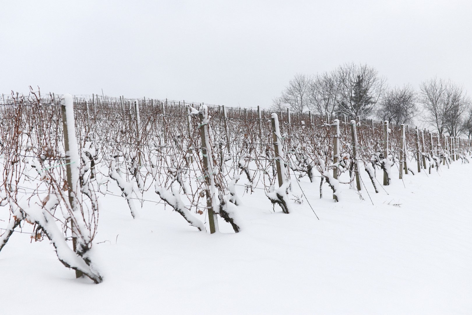 Mađerkin breg pokriven snijegom
