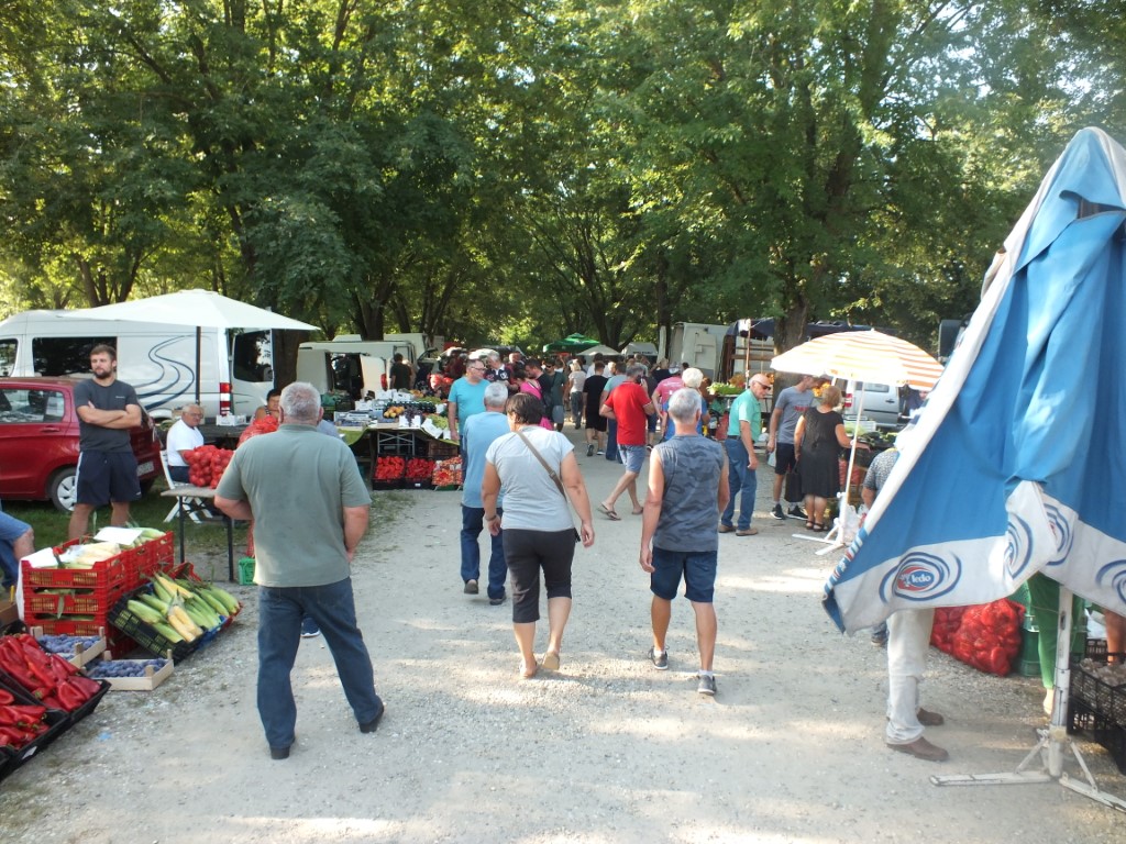 Image 5810879 (auto)