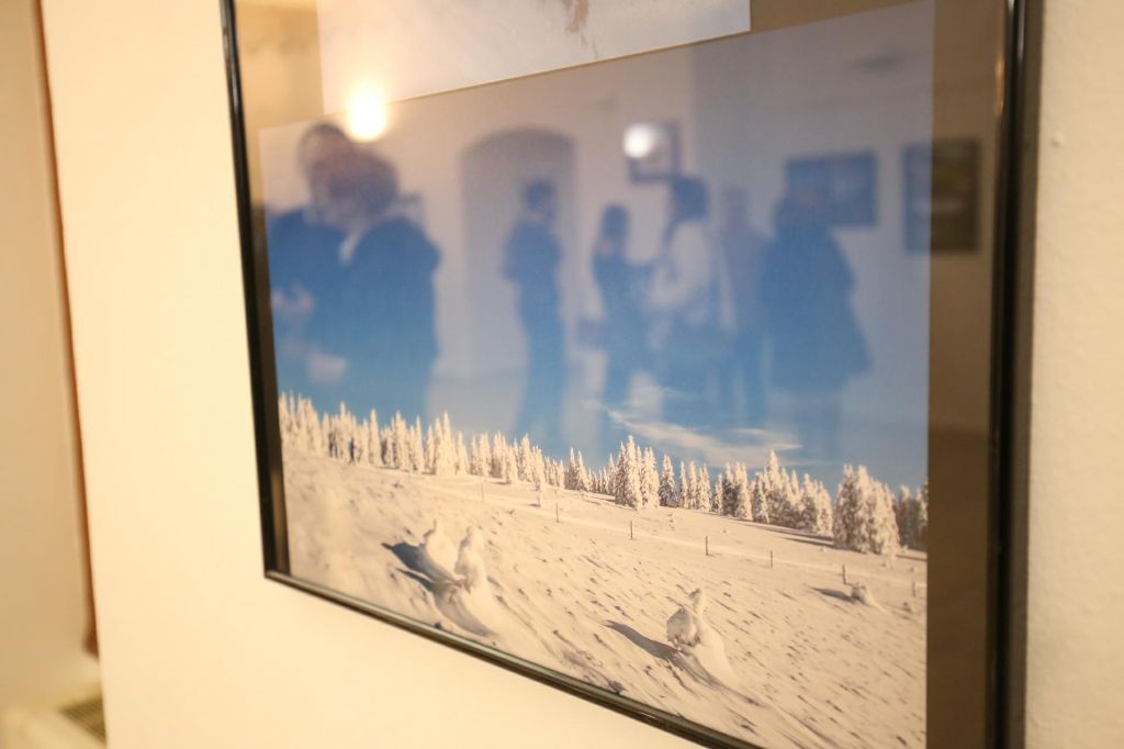 2770807510214156381400475900563