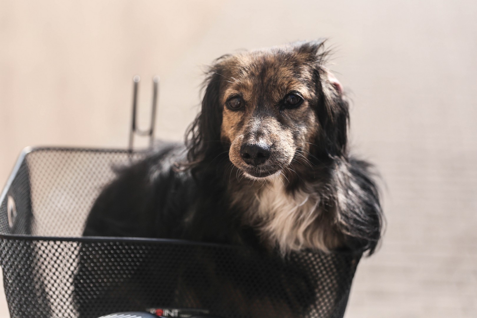 Klikom po Prelogu (31.8.2019.)