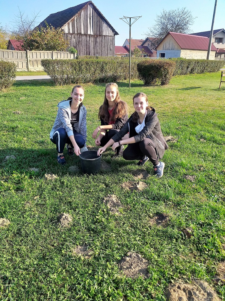 BRAVO, MEĐIMURCI U akciji sadnje drveća na širem čakovečkom području posađeno stotine novih stabala BRAVO, MEĐIMURCI U akciji sadnje drveća na širem čakovečkom području posađeno stotine novih stabala