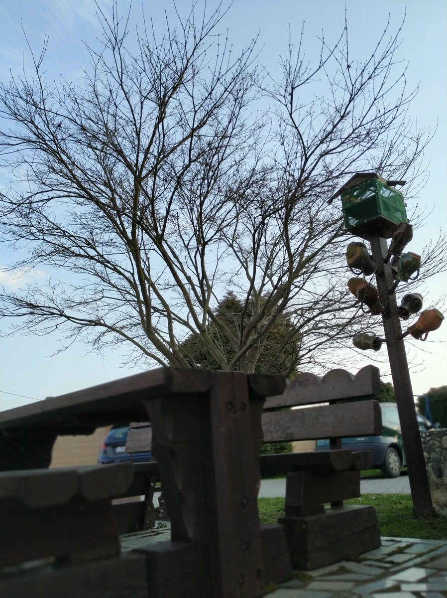 Dvorište Maje Mlakar