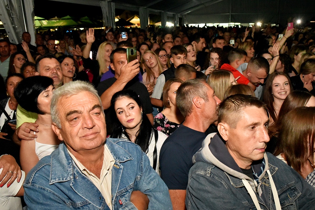 Image 5462310 (auto)