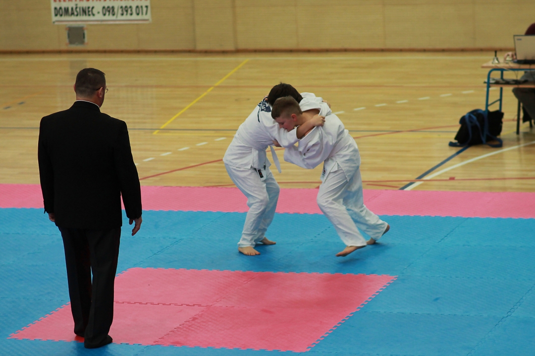 163486410427a60e10987k1940426