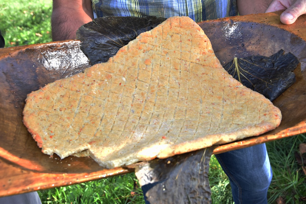 Branje kukuruza obitelj Fic, Dragoslavec Branje kukuruza obitelj Fic, Dragoslavec