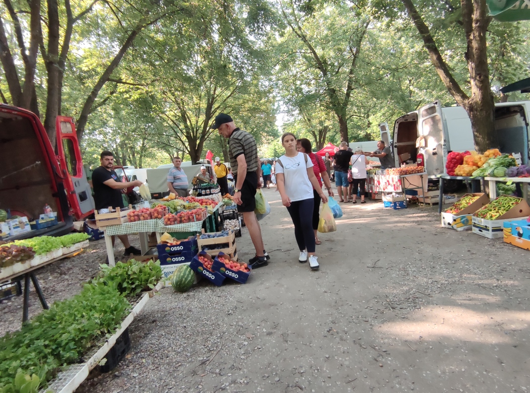 Image 5810839 (auto)