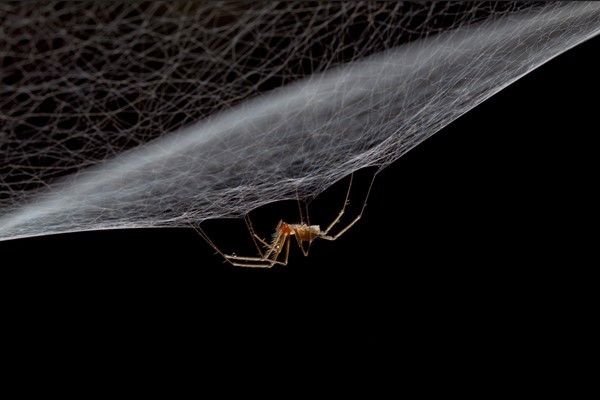 VELIKA OBLJETNICA Skup speleologa održan na desetu obljetnicu, a evo i najljepših fotografija