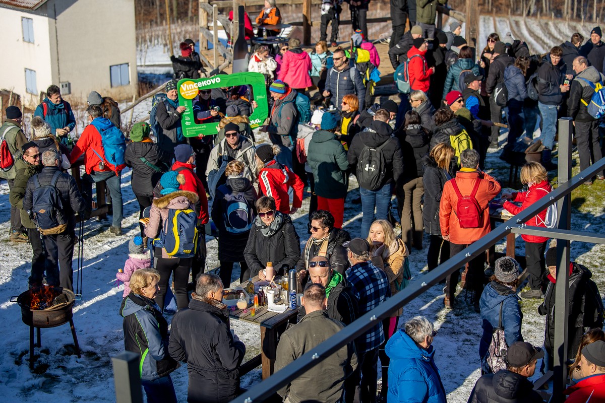 Vincekovo 2024., Štrigova Vincekovo 2024., Štrigova