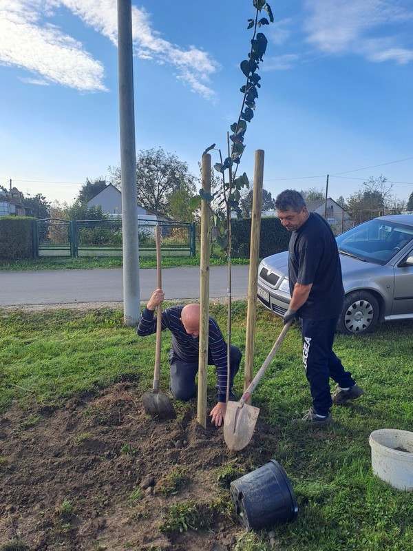 DONJI MIHALJEVEC Mještani ujedinjeni u sadnji drveća i bojanju igrala