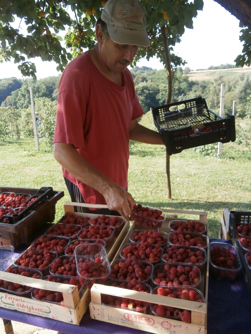 berbamalina20156566105