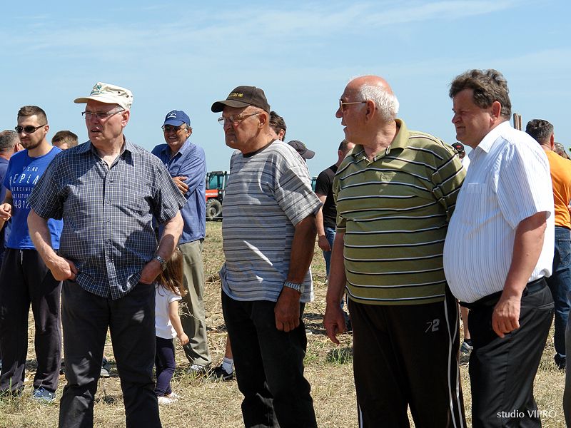 353915400dsc06413115182