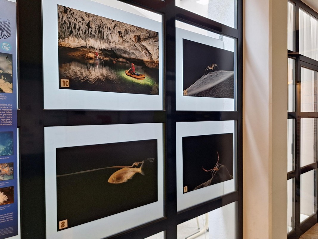 VELIKA OBLJETNICA Skup speleologa održan na desetu obljetnicu, a evo i najljepših fotografija
