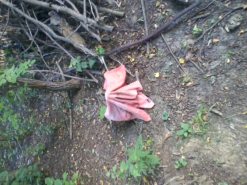 fotografija0044878031