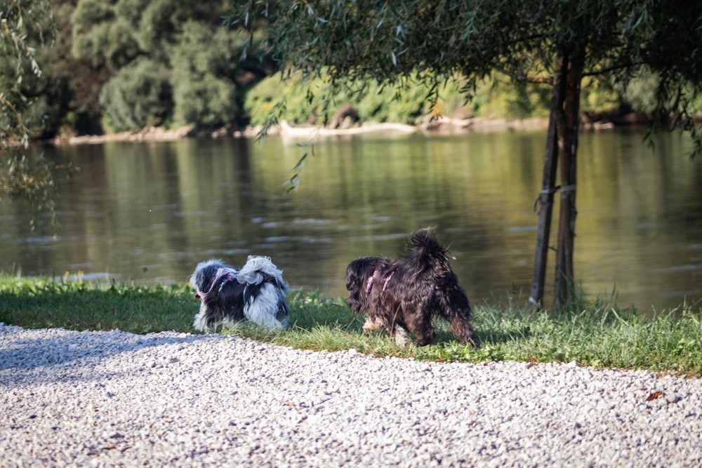 KLIKOM PO MURI Brojni građani uživali u toploj nedjelji u Murskom Središću