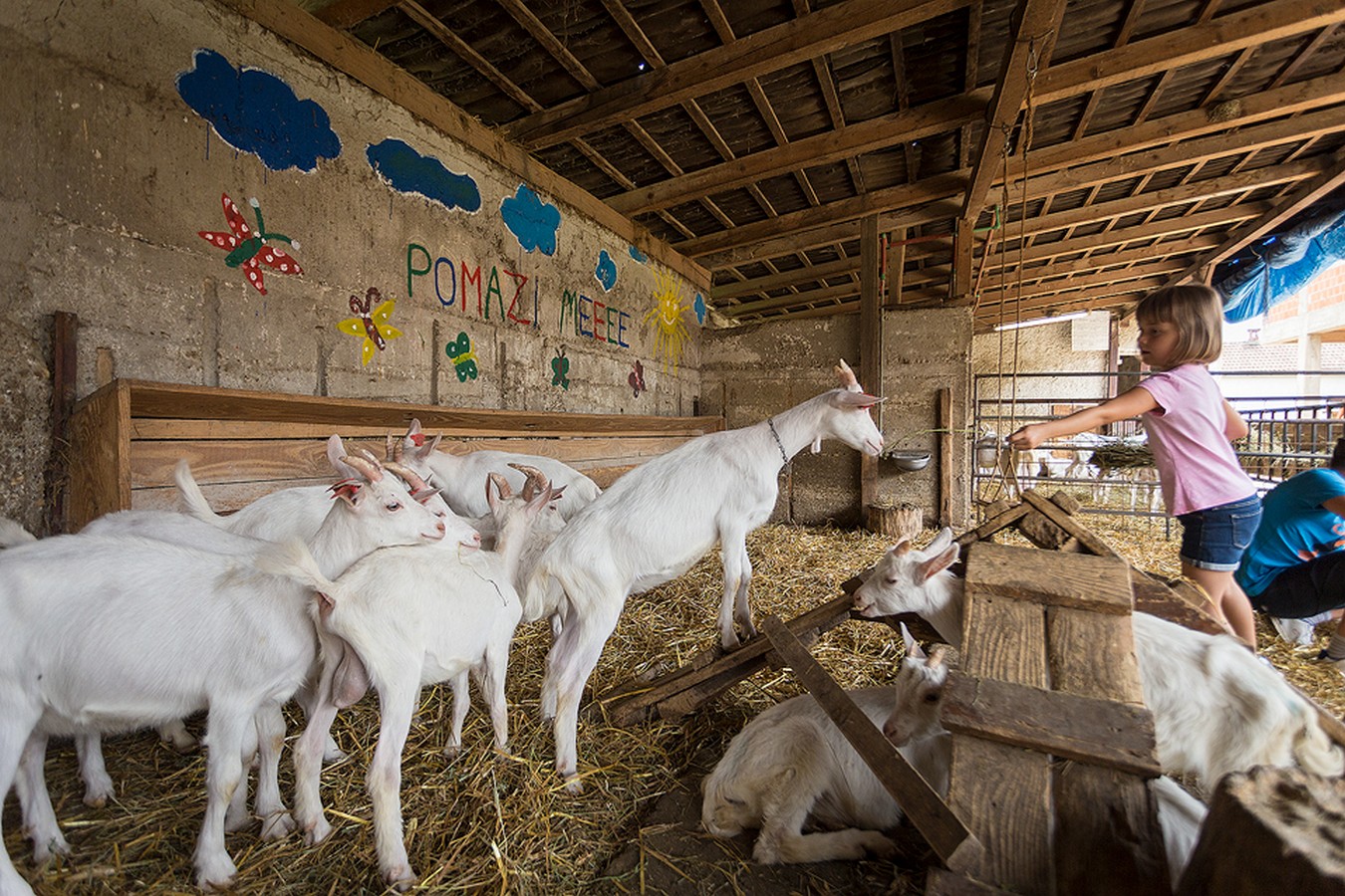 Dan otvorenih vrata OPG-a Zadravec u Oporovcu