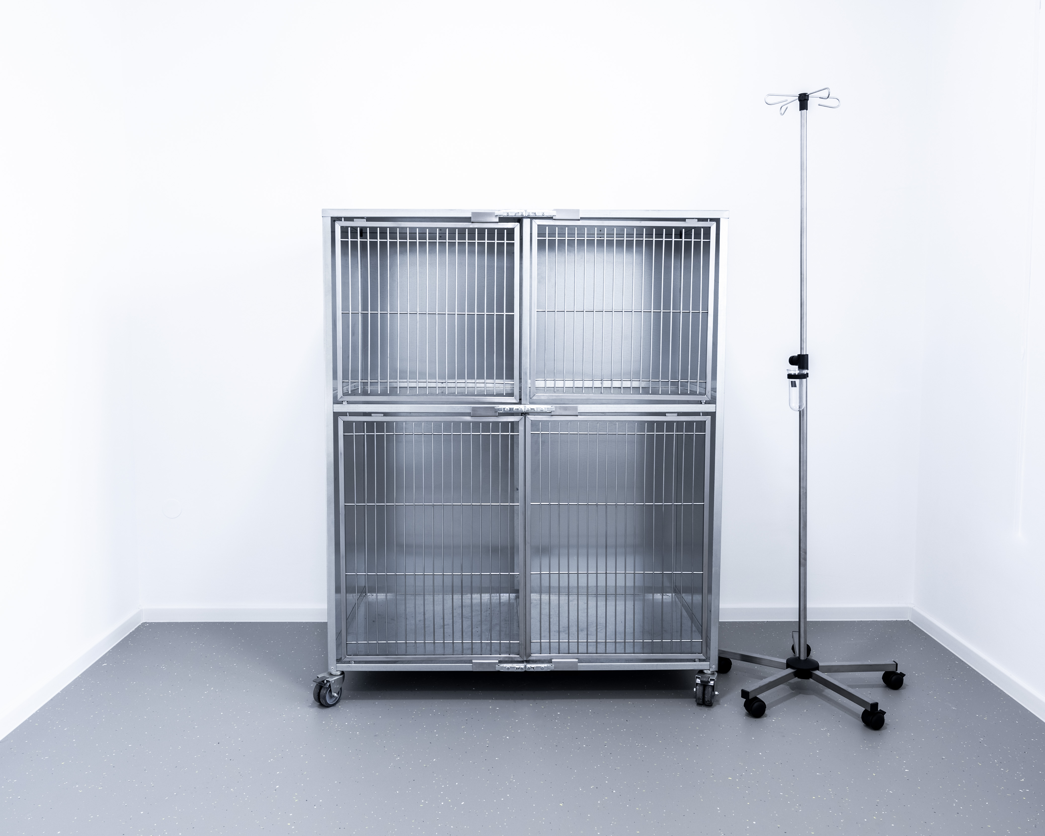 Image 5155656 (auto)