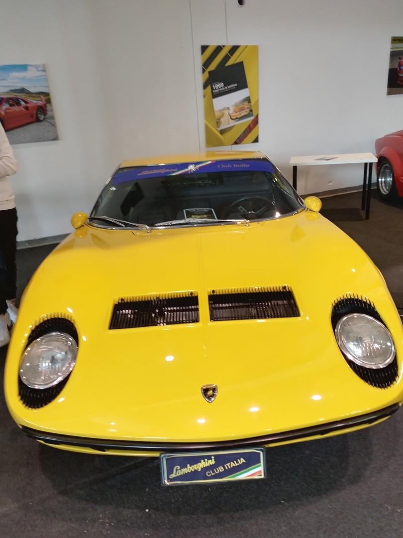 I Međimurci posjetili međunarodni salon automobila u Padovi