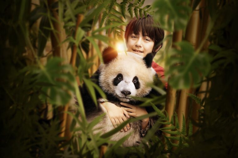 MOON: VELIKI PANDA