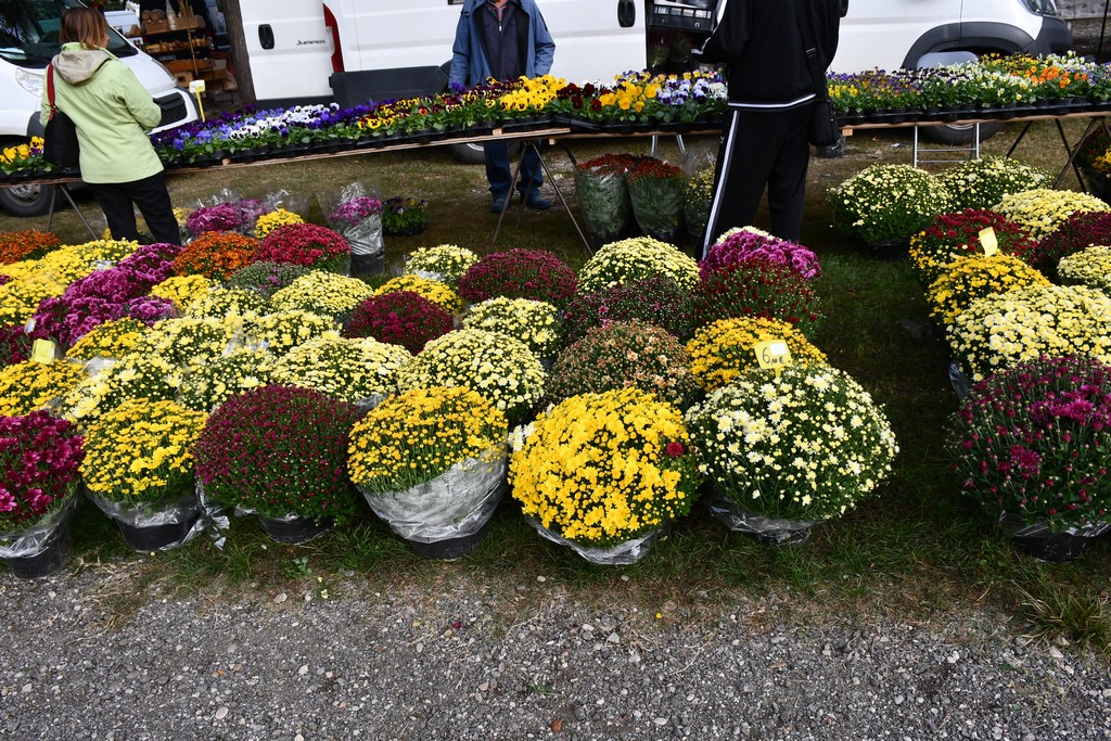 FOTO S dolaskom hladnijih dana povećan interes za kupnju drva za ogrjev