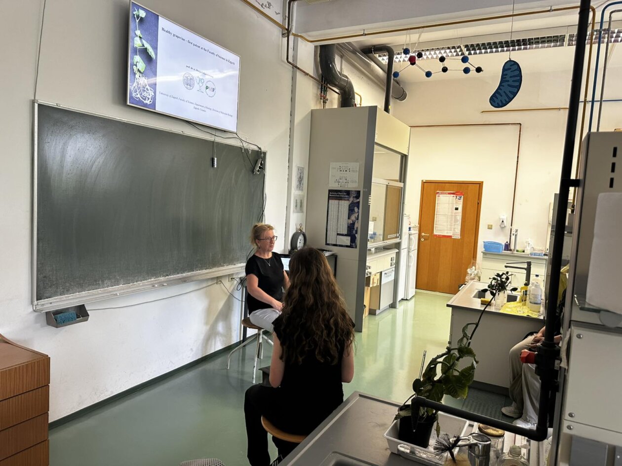 gimnazija posjet PMF gimnazija posjet PMF