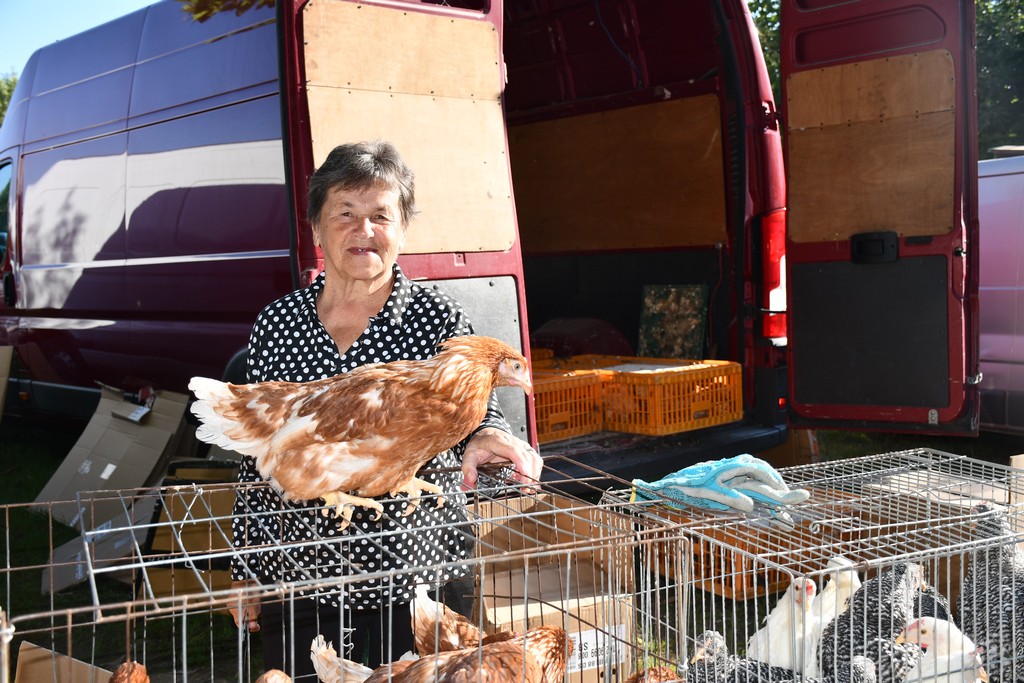 Čakovečki sajam (srijeda, 6.9.2023.)