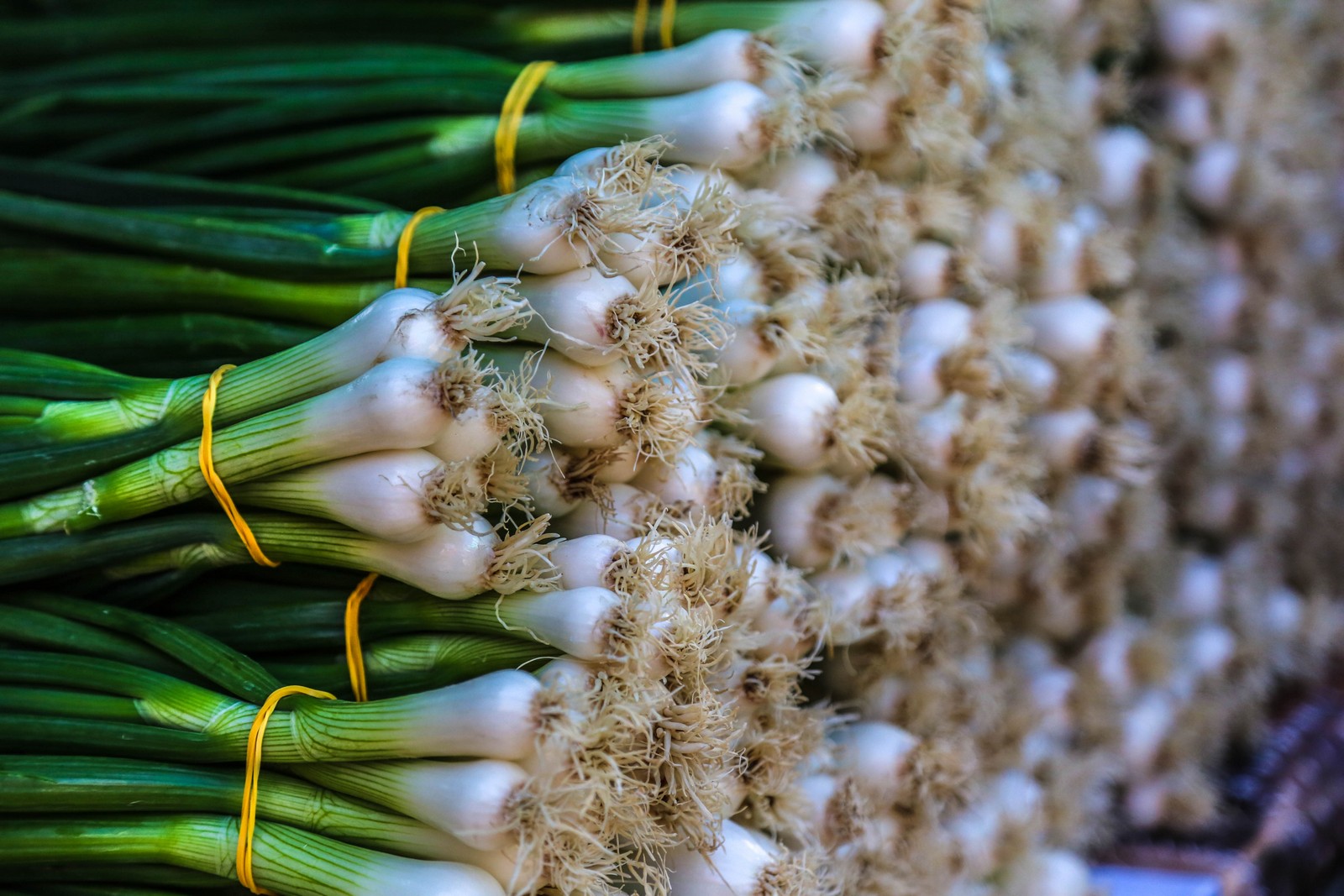 Čakovečki plac na Veliki petak