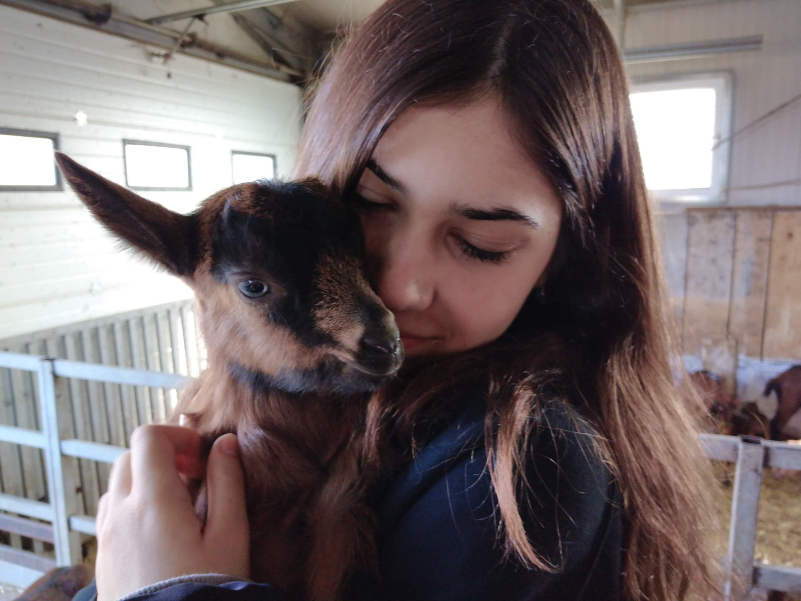 Jelena Vuletić Čičko