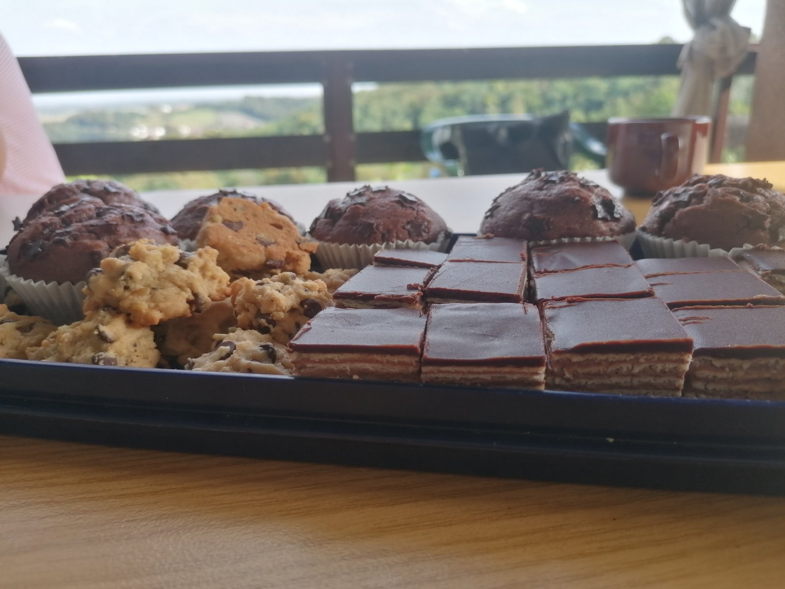 FOTO Berba na Balog bregu: Uz veselo društvo, sve se lako ‘pobere’!