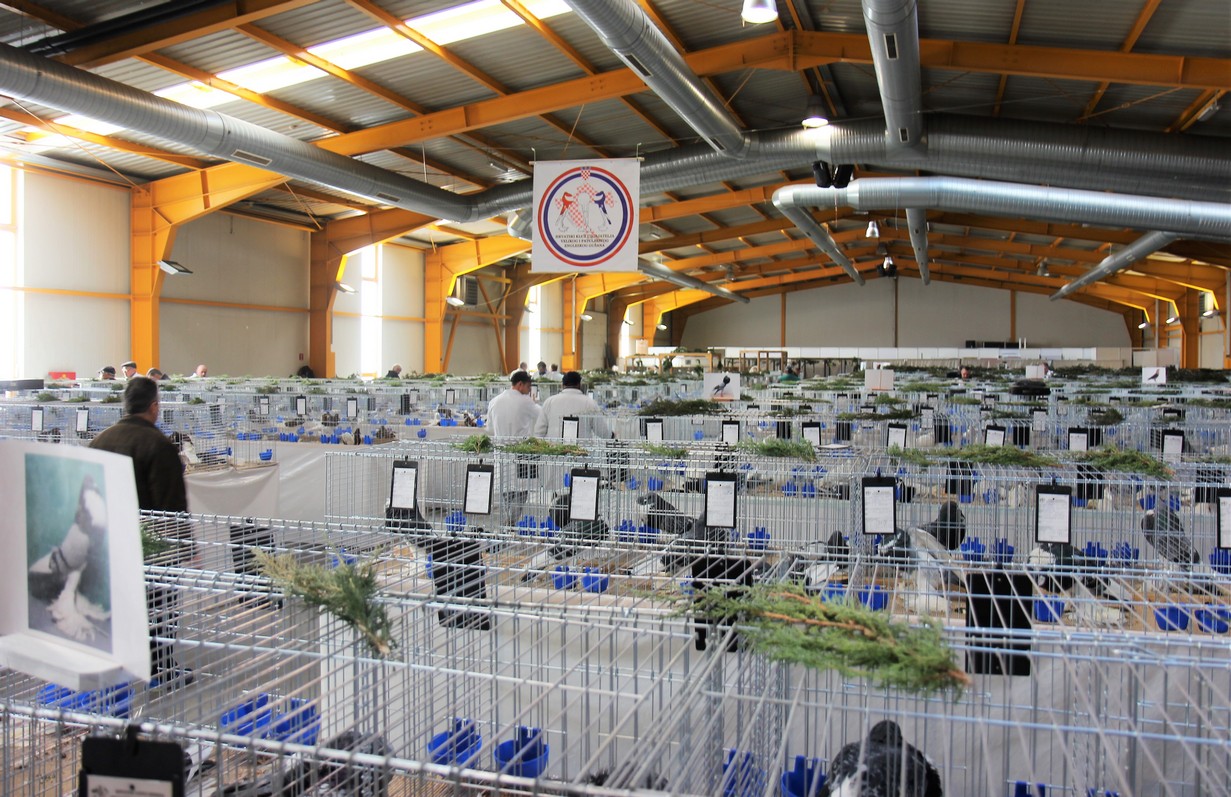 Otvorena izložba malih životinja u Nedelišću