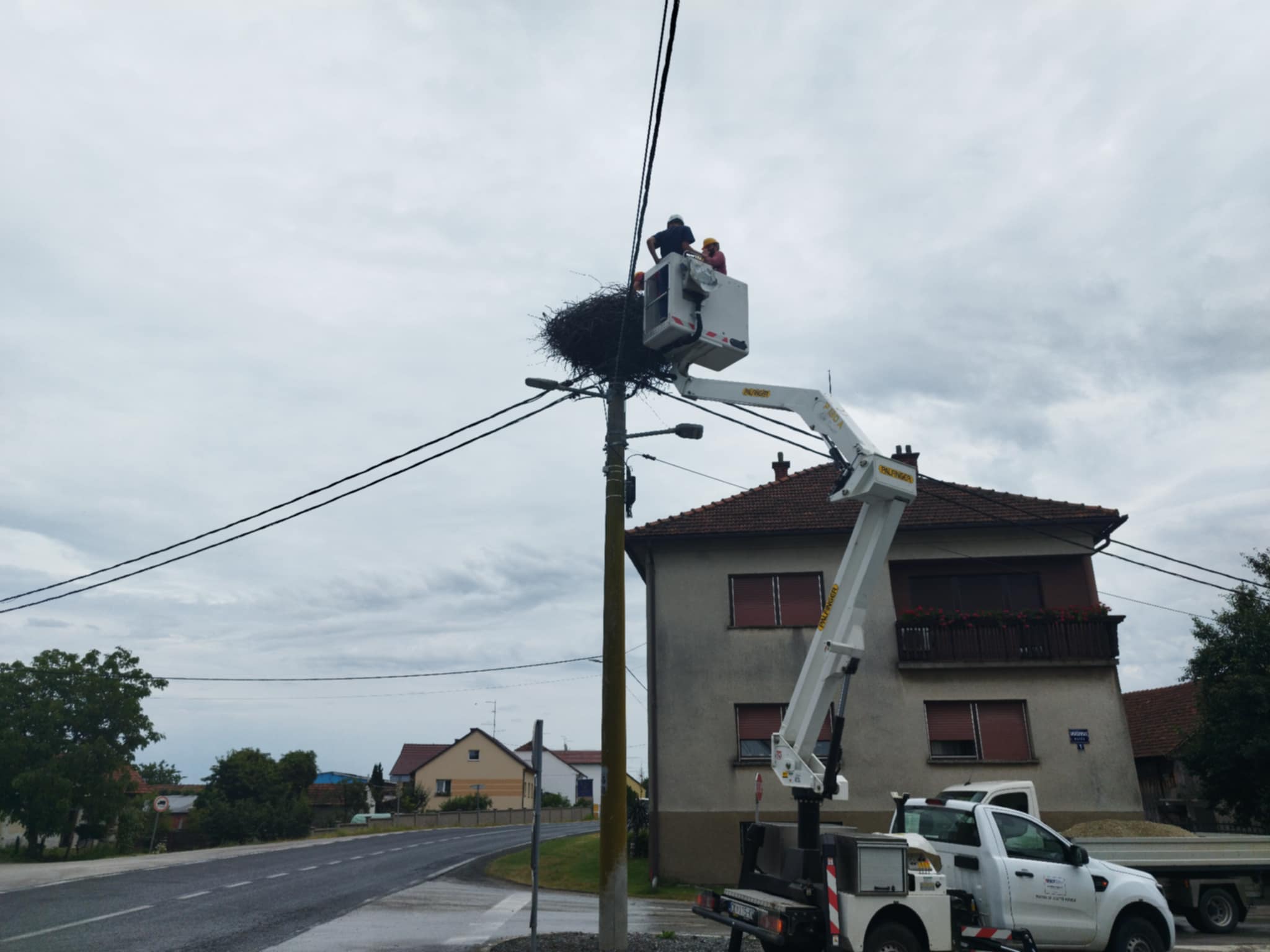 prstenovanje roda prstenovanje roda