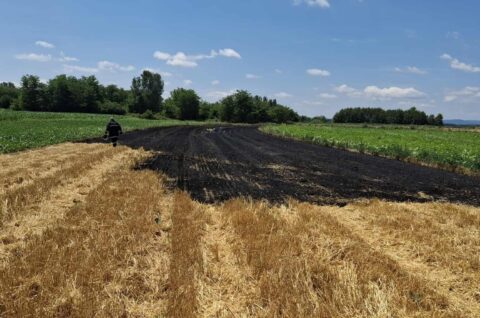 514455428_24003872822603876_4148961911592075048_n 514455428_24003872822603876_4148961911592075048_n