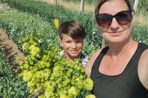 cvijeće opg lizijantus