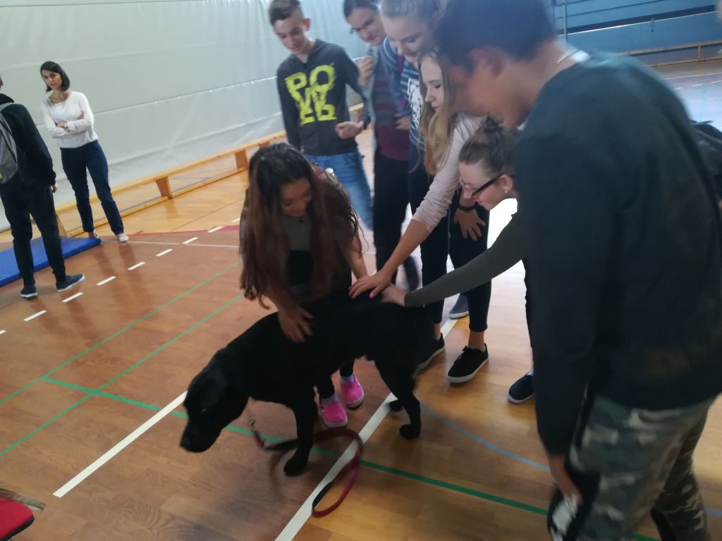 img20171018105049434610