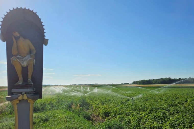 Dodlek Agro, navodnjavanje