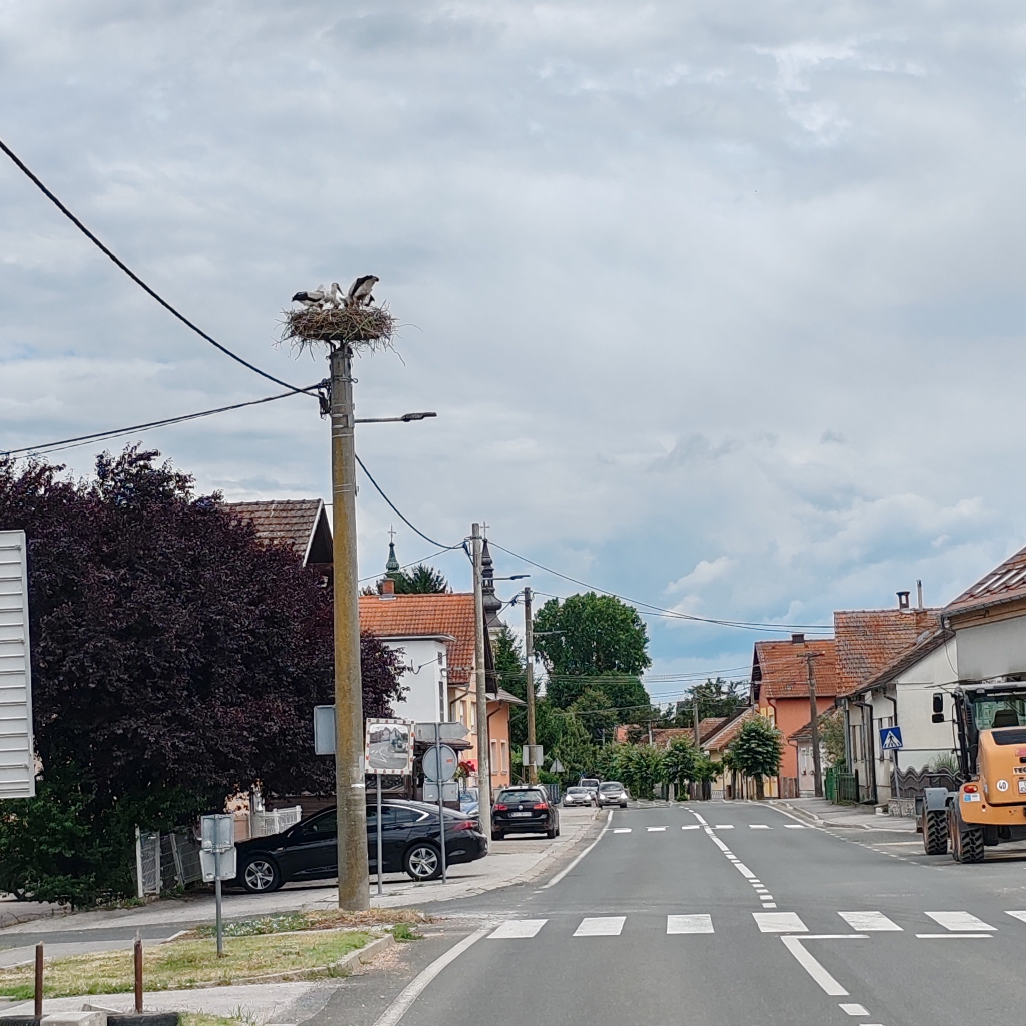 zbor goričan