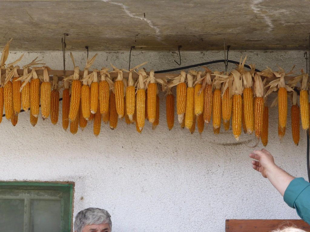 1115495094461934222555569175715