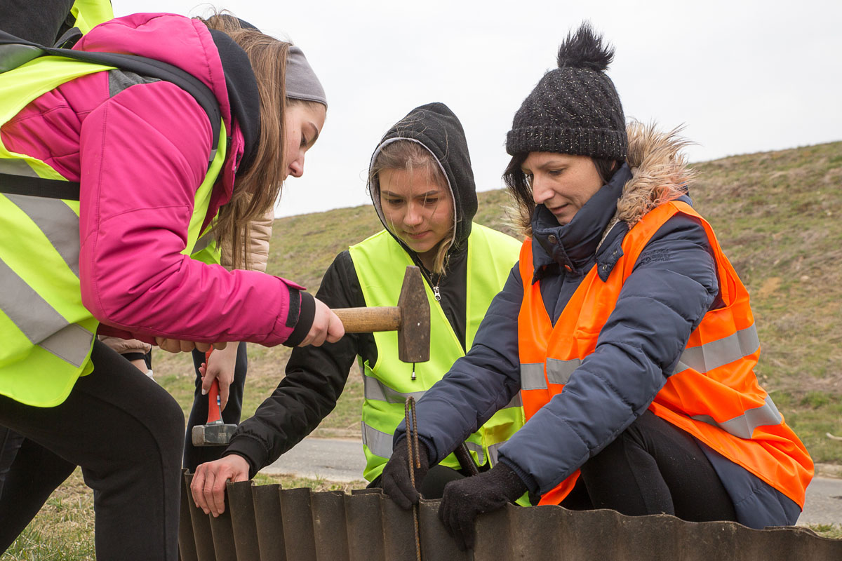 Akcija spašavanja vodozemaca