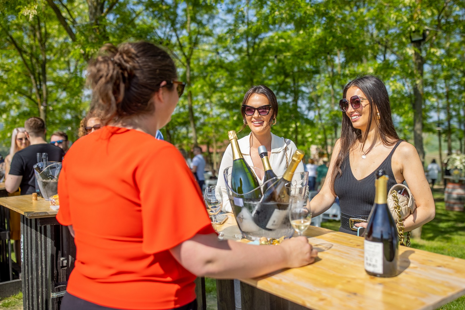 Na Mađerkinom bregu održan Pjenušavi doručak u vinogradu