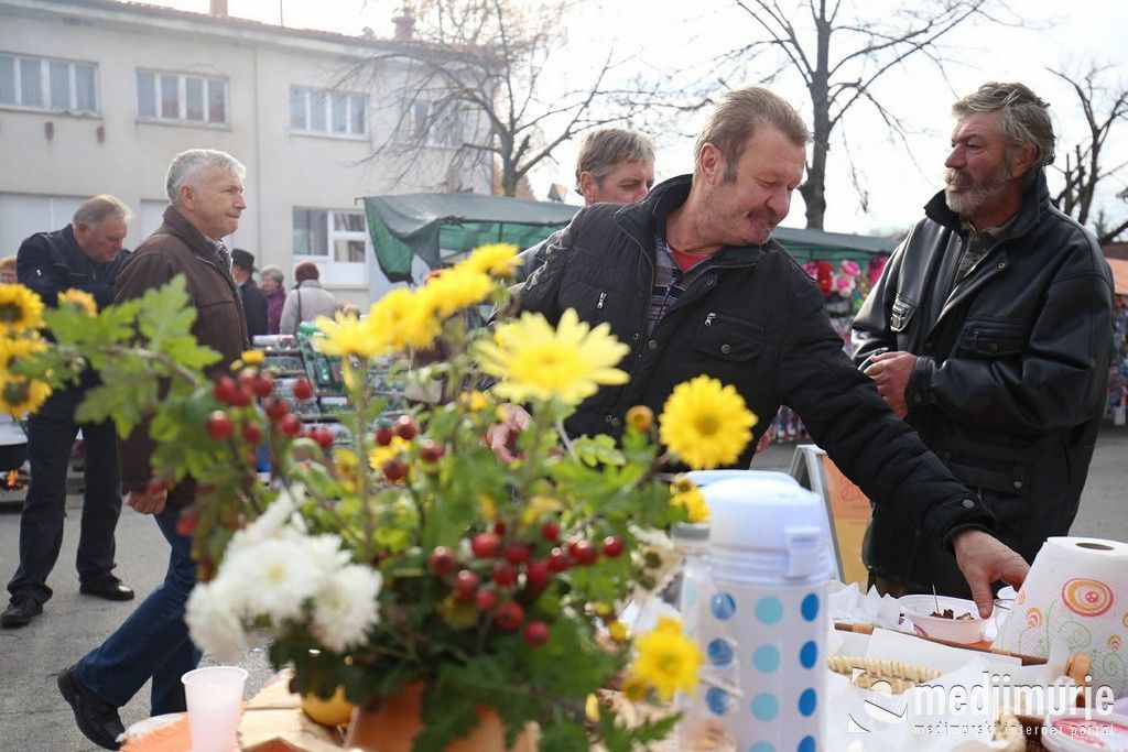 martinjesvetimartinnamuri005894