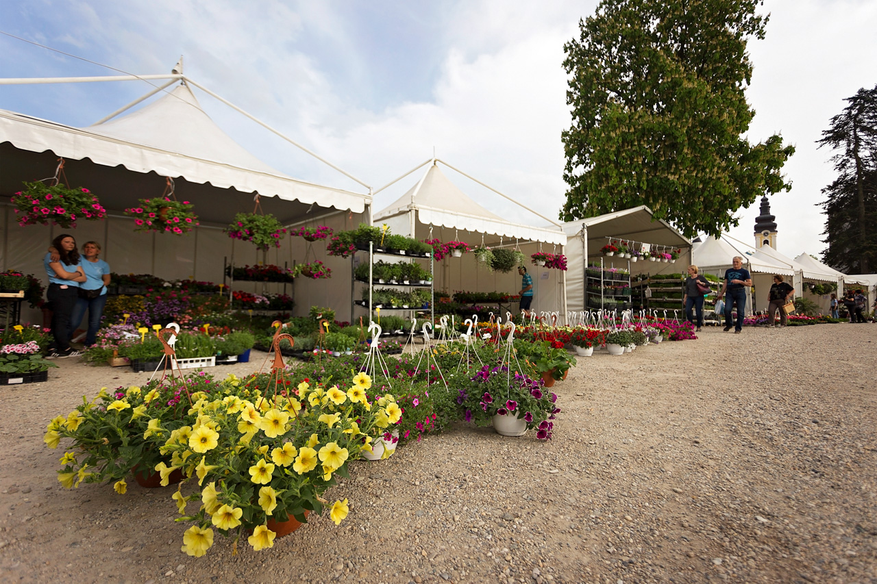 Prvi dan Sajma cvijeća u Prelogu