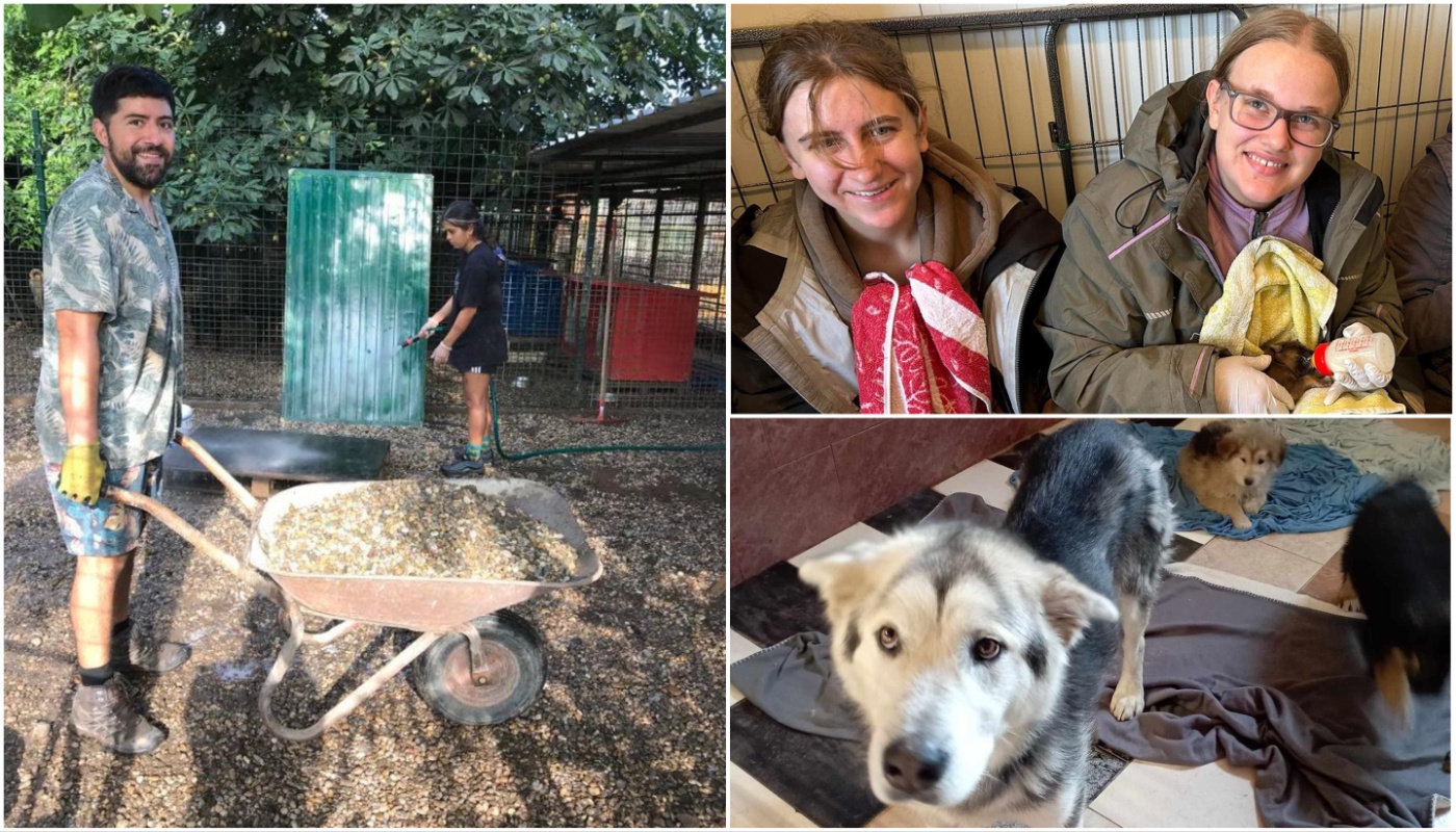 AZIL ‘PRIJATELJI’ ČAKOVEC Volonteri su im velika pomoć u skloništu, a stižu i iz Čilea