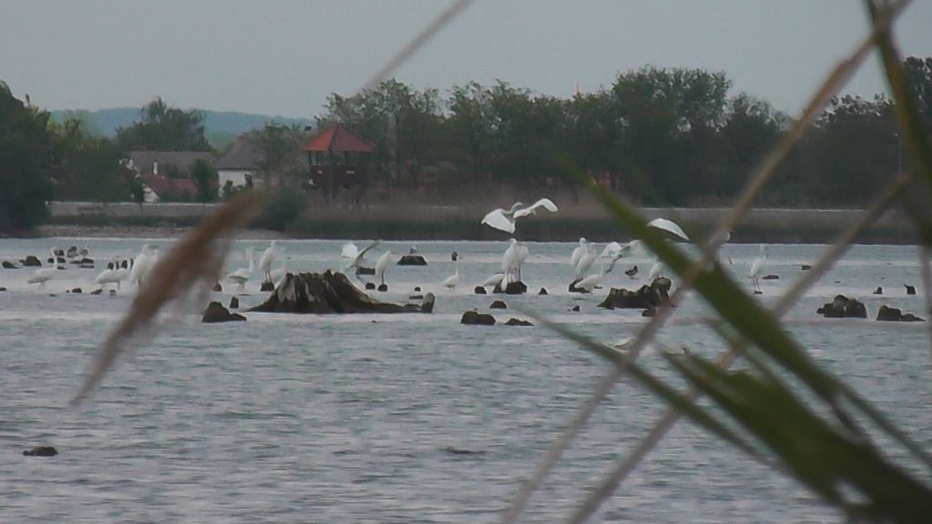 pogledpremamariniinaselju686722