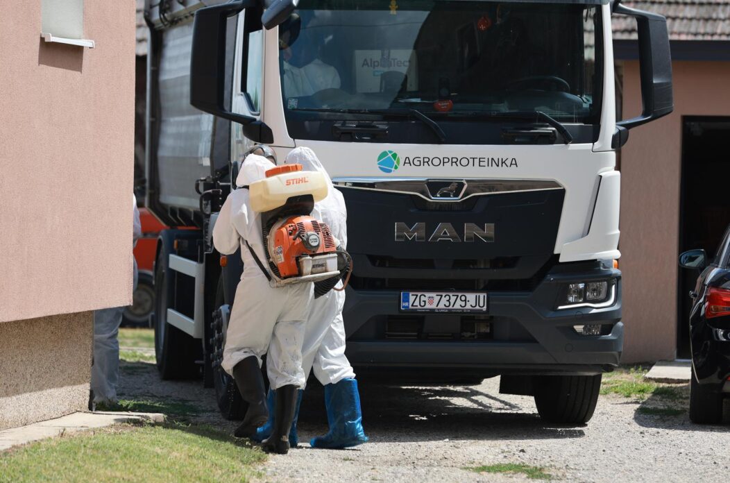 PIXSELL/Davor Javorovic