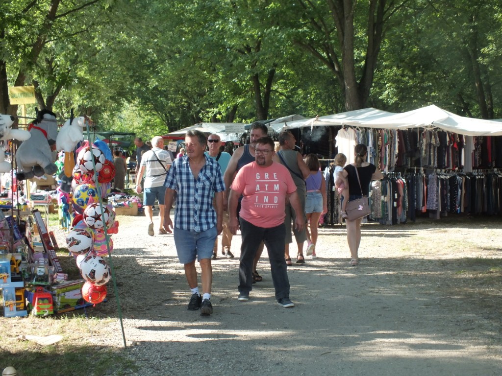 Image 5810883 (auto)